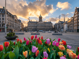Amsterdam - Londra