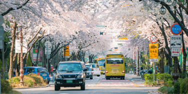 Daegu đi Seoul