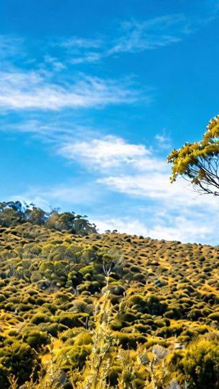 4D3N • Australia + Tasmania + Hobart + Bruny Island + Wineglass Bay
