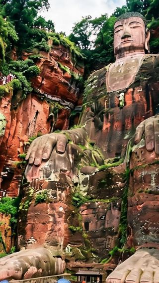 2D1N • Panda Encounter Tour: Round-trip High-speed Trains & Hiking at Leshan Giant Buddha