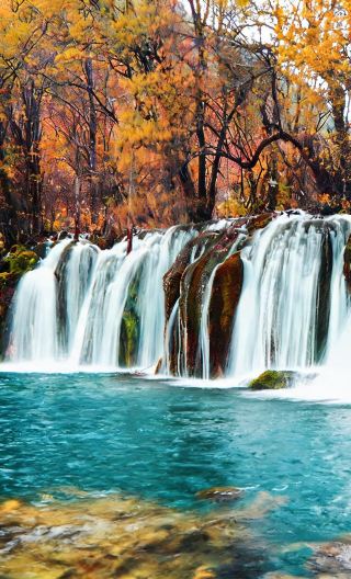 9D8N • Sichuan Jiuzhaigou + Huanglong National Park + Sanxingdui Museum + Dujiangyan Scenic Area + Leshan Giant Buddha + Mount Emei Scenic Area: One-day free activity in Chengdu