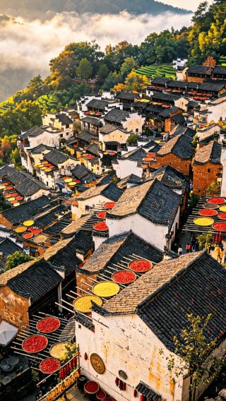 7D6N • Snow Season Christmas Featured Itinerary | Huangshan · World Cultural and Natural Heritage Site+Cheng Kan · Huizhou Fish Lantern Festivities+Wuyuan Huangling · Famous for Autumn Sun-Drying+Boat Tour · Landscape Gallery of Xin'An River+Explore Huizhou-Style Ancient Villages