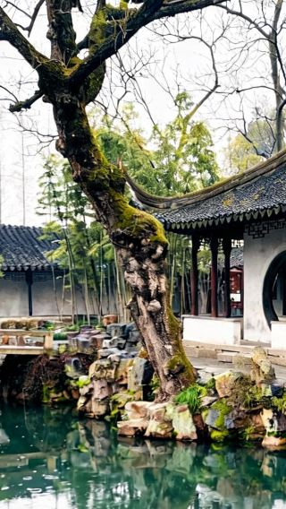 6D5N • Shanghai + Suzhou + Puyuan + Haining + Hangzhou: intangible cultural heritage handmade craft experience & Jiangnan slow lifestyle
