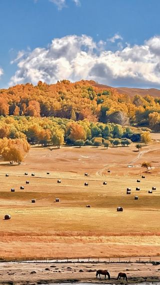 6D5N • Consult for customizable itineraries + Beijing + Inner Mongoliagrasslands, deserts, volcanoes, and historical sites.