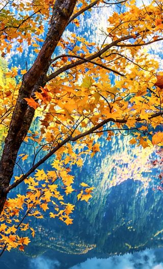 8D7N • Fall foliage & Snow Escape: Jiuzhaigou + Chengdu Giant Panda Base + Sanxingdui + Leshan + Mount Emei · Private car pick-up & drop-off upgrade available · 5-diamond hotel stays