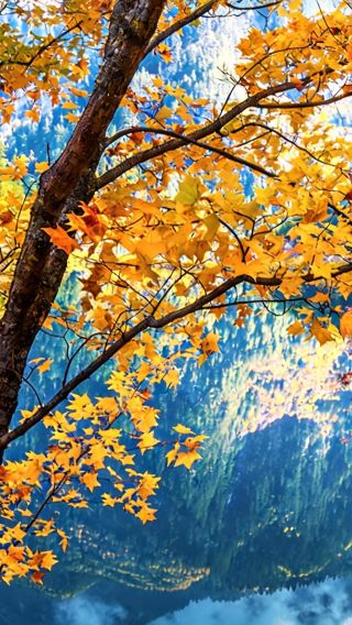 9D8N • Jiuzhaigou + Huanglong National Park + Sanxingdui Museum + Dujiangyan Scenic Area: One-day free activity in Chengdu & The Magical City of Chongqing
