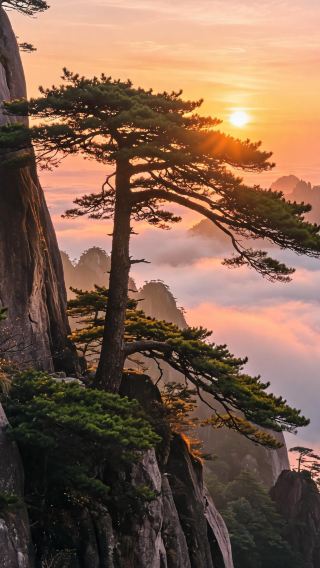 6天5晚 • 雲山宿·覽徽州｜黃山風景區＋婺源篁嶺＋宏村＋徽州古城，連續 2 晚宿山頂飯店·盡情賞日出日落，含上下山索道，導遊陪同遊覽景區