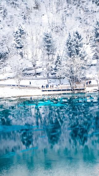 8D7N • Winter wonderland tour - Jiuzhaigou + Huanglong + Panda + Sanxingdui + Dujiangyan + Leshan Giant Buddha + Mt Emei · Adjustable itinerary
