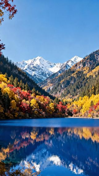 5D4N • Christmas encounter with Western Sichuan's colorful forests · unlock the panda and the Jiuzhaigou-Huanglong wonderland, with overnight stays at IHG-branded select hotels throughout