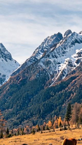 3D2N • Mount Siguniang + Yuzixi + Tagong Grassland + Gunong Village + Moshi Park Scenic Area + Honghaizi
