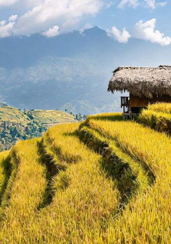 5D4N • International Tourists Only · China + Guilin + Yangshuo + Li River Scenic Area + Longji Rice Terraces·Free upgrade to tour guide accompaniment for groups above 6