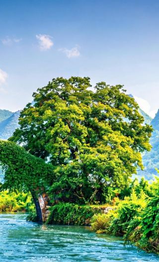 6D5N • "All Tips Included" Guangxi Guilin+Yangshuo+Li River+Longji Rice Terraces+A Thousand Li of Rivers and Mountains+Silver Cave