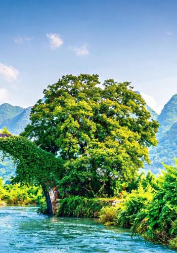 4D3N • International Tourists Only · China + Guilin + Yangshuo + Li River Scenic Area + Xingping Ancient Town + Elephant Hill·Free upgrade to tour guide accompaniment for groups above 6