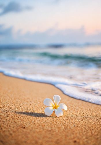 9日8晚 • 美國：夏威夷歐胡島，檀香山，夏威夷島