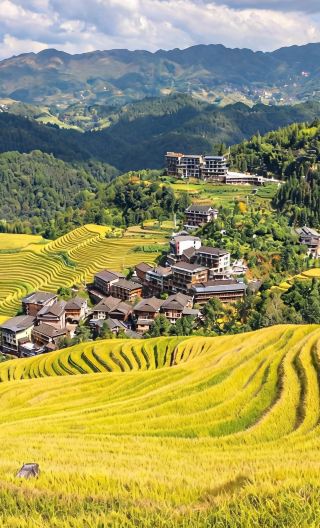 7D6N • Guangzhou Modernity & Guilin Landscape Journey - included round-trip HSR tickets +  Longji Rice Terraces + Li River  Cruise + Yulong River Rafting