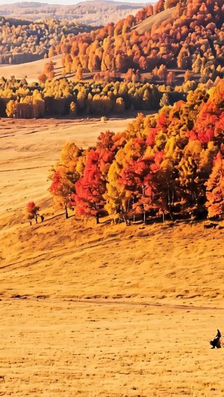 3D2N • Consult for customizable itineraries + Wulanhada Volcano Geopark + Jining District + Jining Battle Memorial Hall + Huitengxile Grassland