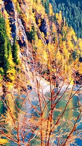 9D8N • Sichuan Jiuzhaigou + Huanglong National Park + Sanxingdui Museum + Dujiangyan Scenic Area + Leshan Giant Buddha + Mount Emei: one-day free time in Chengdu