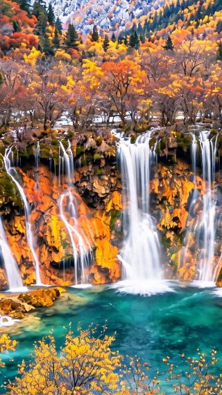 7D6N • Autumn-Winter early bird- Sichuan highlights: Panda, Jiuzhaigou, Emei, Leshan, Sanxingdui. 5-star stays. Limited Golden Season Slots