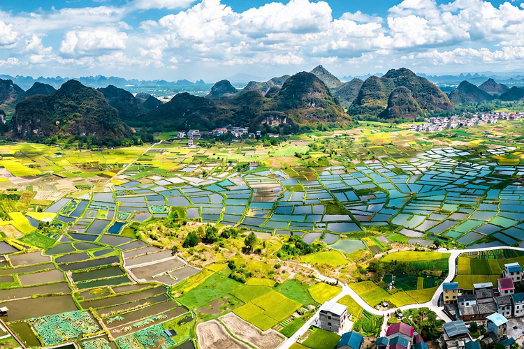 image_grid_main