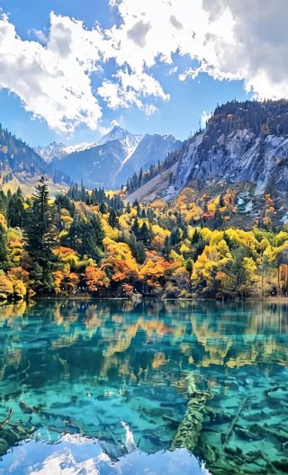 5D4N • Jiuzhaigou + Songpan + Panda Base : English-speaking guide & park admission and shuttle bus included