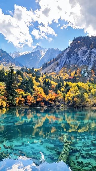 4D3N • Chengdu + Jiuzhaigou + Huanglong + Mount Siguniang + Bipenggou : Jiuzhaigou Professional Photoshoot & Authentic Tibetan Cuisine & Afternoon Tea Experience