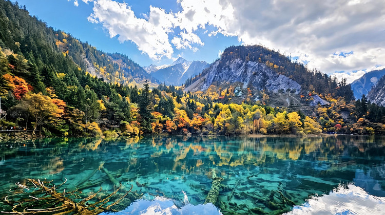 image_grid_main