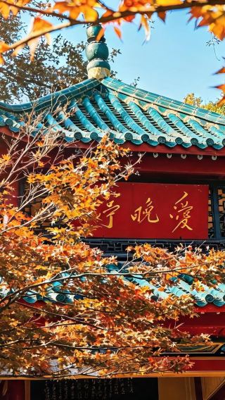 4天3晚 • 贈送茶顏悅色「長沙人文深度·導遊1對1帶隊」韶山＋花明樓＋橘子洲＋嶽麓書院＋愛晚亭＋湖南省博物院·馬王堆漢墓