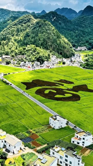 6天5晚 • 貴州貴陽＋黃果樹景區＋興義萬峰林景區＋馬嶺河峽谷景區＋荔波小七孔景區＋西江千戶苗寨 20人團 零購物