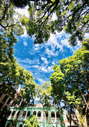 7D6N • Guangdong Tour: Cross the Shenzhen-Zhongshan Link to Discover Lingnan Ceramics, Ancient Towns, Coastal Views, Overseas Chinese Heritage & Local Flavors