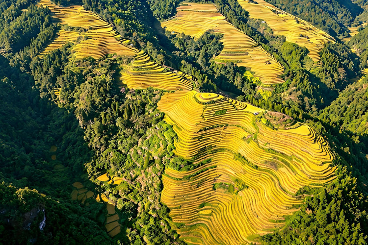 image_grid_main
