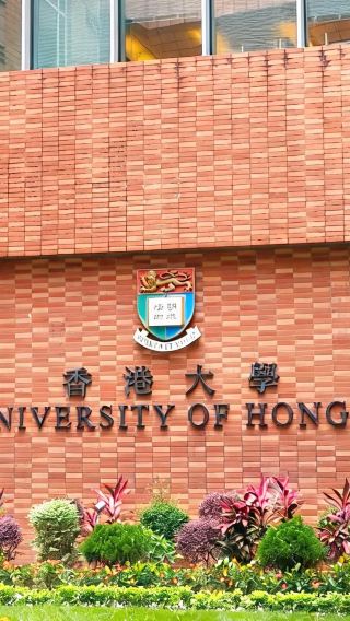 4D3N • Tai Pingding + University of Hong Kong + Hong Kong University of Science and Technology
