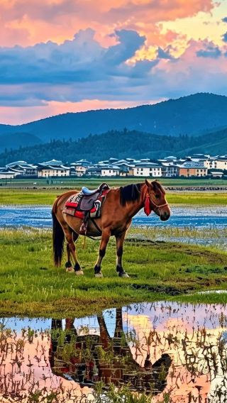 8D7N • Chasing snow mountains and seagulls in fall-winter: Kunming + Dali Ancient City + Lijiang + Shangri-La + Yulong Snow Mountain + Jiuxiang Karst Cave: Family-friendly tour