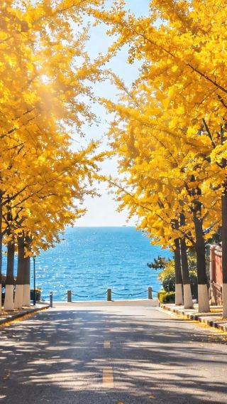 3D2N • Laoshan Mountain, Tsingtao Beer Museum & Governor's Residence, no compulsory shopping, custom hotel selection
