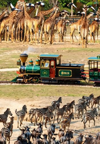 7D6N • Guangzhou & Foshan Lingnan In-Depth Tour: Canton Tower, Shamian Island, Chimelong Safari, Wong Fei-hung Kung Fu Culture & Ancient Kilns