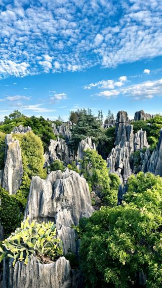 6D5N • Solo Accepted : Yunnan+Kunming+Dali City+Lijiang  + No Snow Mountain +1 day Lijiang Free Tour
