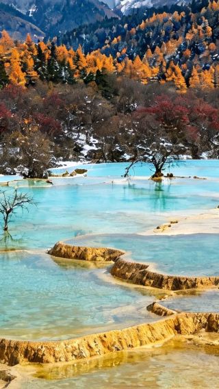 9D8N • A parent-child nature and culture journey: check off in one trip the 8D magical mountain city of Chongqing + Chengdu Panda Base + Huanglong + Jiuzhaigou + Sanxingdui
