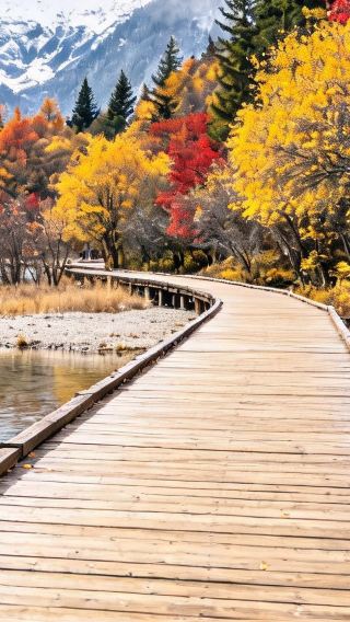 7D6N • Muslim-Friendly Fal&Winter Pre-sale: Chongqing, Chengdu, Pandas, Huanglong, Jiuzhaigou & Huangcheng Mosque