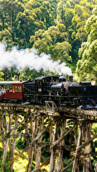8D7N • Australia Melbourne with Great Ocean Road+Puffing Billy train+Penguin Parade