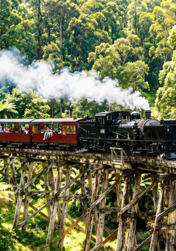 8D7N • Australia Melbourne with Great Ocean Road+Puffing Billy train+Penguin Parade