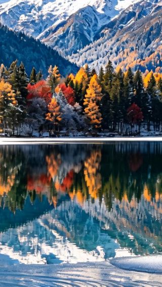 6D5N • Autumn & winter Sichuan tour Chengdu + Jiuzhaigou + Huanglong National Scenic Area + Sanxingdui Museum + Mount Siguniang