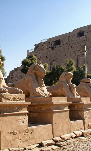 9D8N • Cairo + Aswan + Luxor + Hurghada