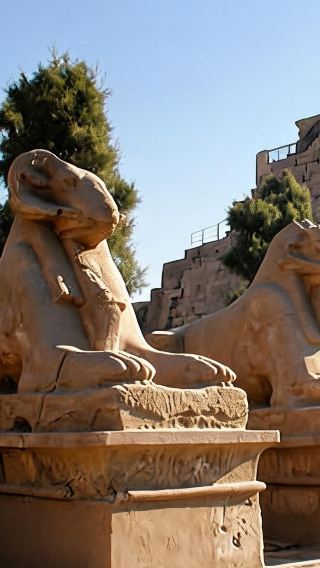 9D8N • Cairo + Aswan + Luxor + Hurghada