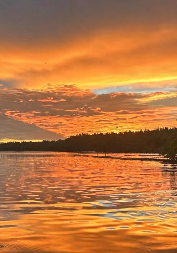 4D3N • Customize your trip: Indonesia Bintan Island: Cultural Villages + Sebong River Mangrove Eco-Cruise + Wetland Ecology Education + Riverside Sunset Viewing
