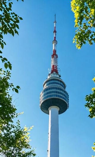 6D5N • Private Seoul & Beyond: Lotte World Tower, Everland Theme Park, Nami Island, Lotte World Tower, Itaewon - Your Way, Your Pace with Dedicated Guide