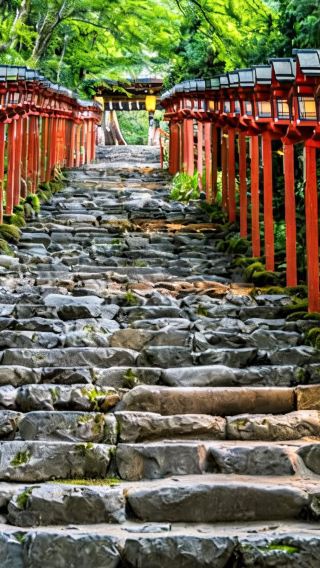 2天1晚 • 京都出發【貴船神社＆三千院＆白鬚神社＆浮御堂（滿月寺）】