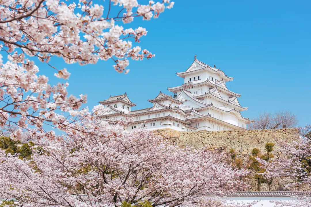 Ritz Carlton Hotels in Osaka