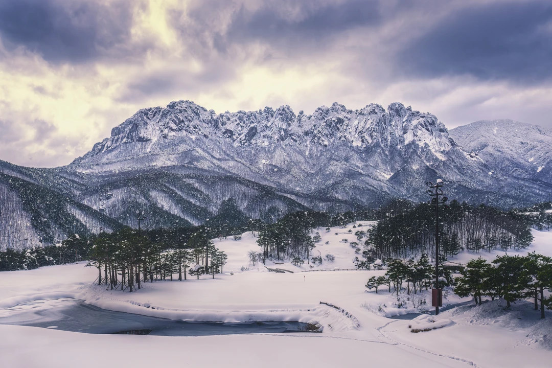 <h1>비룡폭포 근처 호텔</h1>