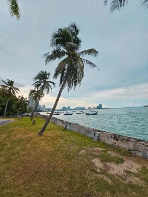 The Palm Suite at Lava Mansion Rooms Photos