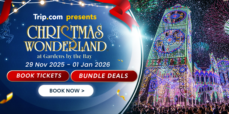 CHRISTMAS WONDERLAND 2025