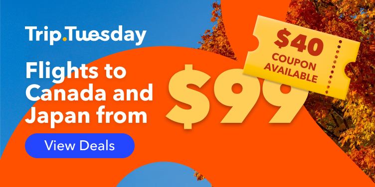Trip Tuesday